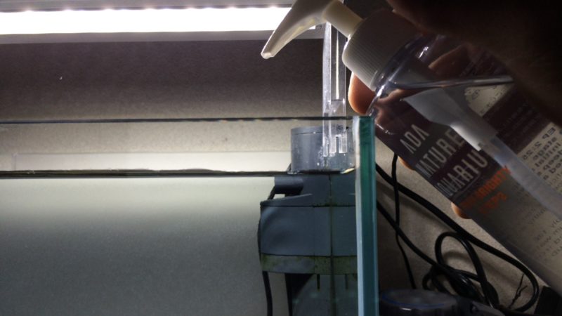 水槽にカリウム液体肥料を投入した時のpHを測定！