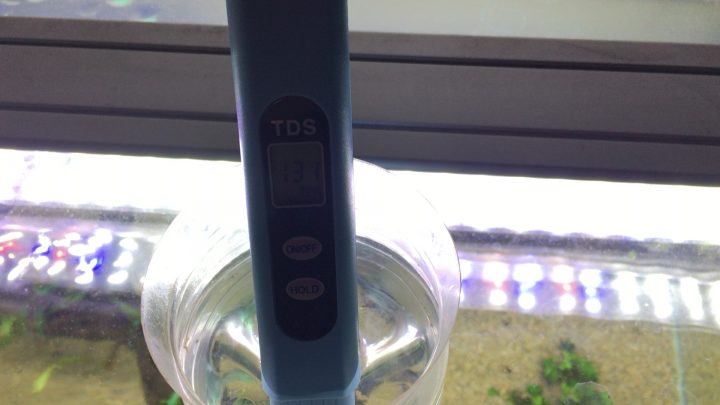 飼育水のTDS値を測定