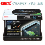 GEX グラステリア メダカ 上見