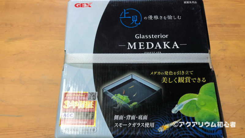 GEX グラステリア MEDAKA 上見