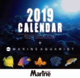 マリンアクアリスト 海水魚カレンダー 2019年カレンダー
