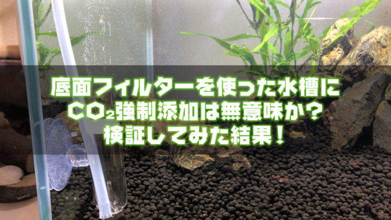 底面フィルターを使った水槽にCO2強制添加は無意味か？