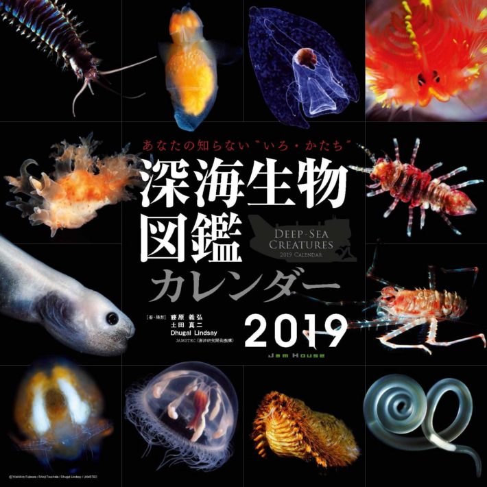 「深海生物図鑑 カレンダー」2019年版