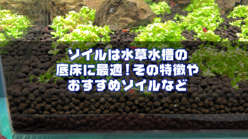 ソイルは水草水槽の底床に最適 その特徴やおすすめソイル アクアリウム初心者